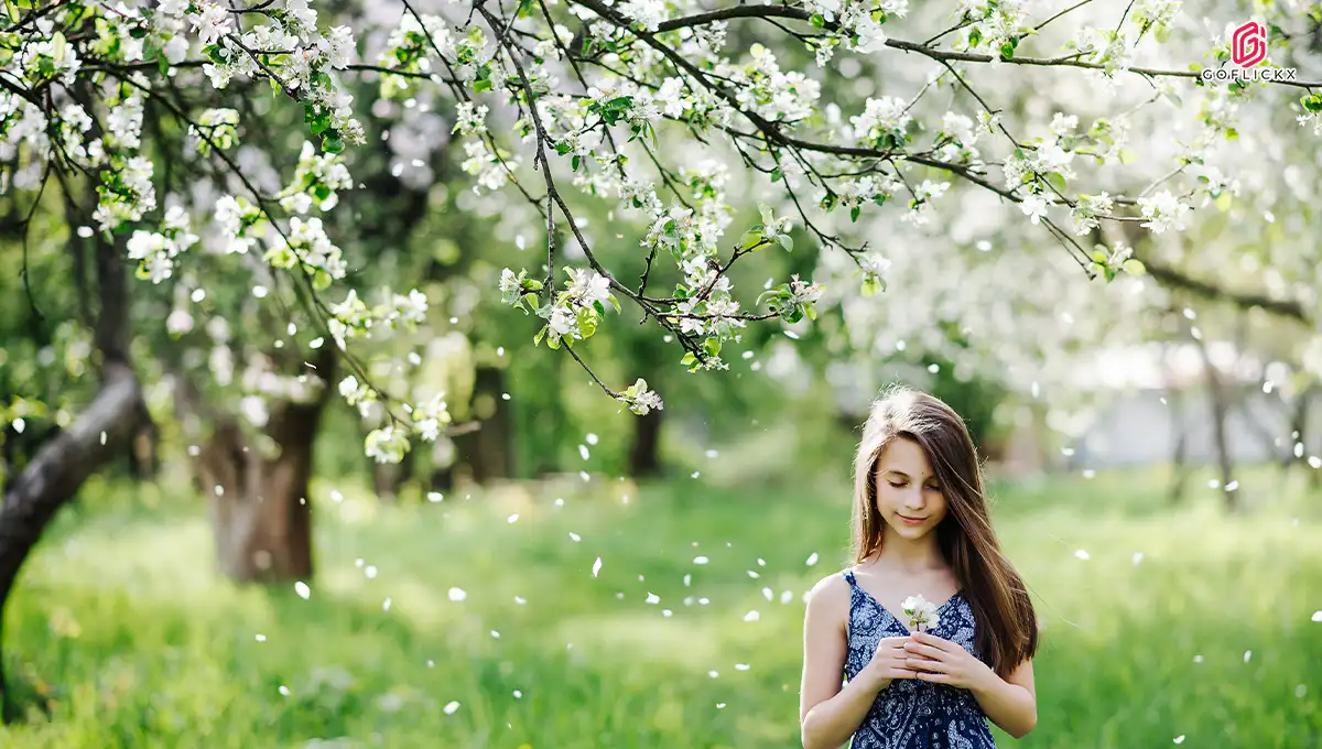 flower of spring season